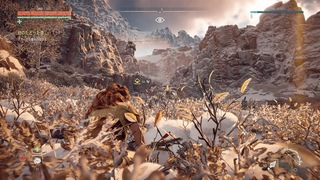 Horizon Zero Dawn™_ Complete Edition_20190904173219.jpg